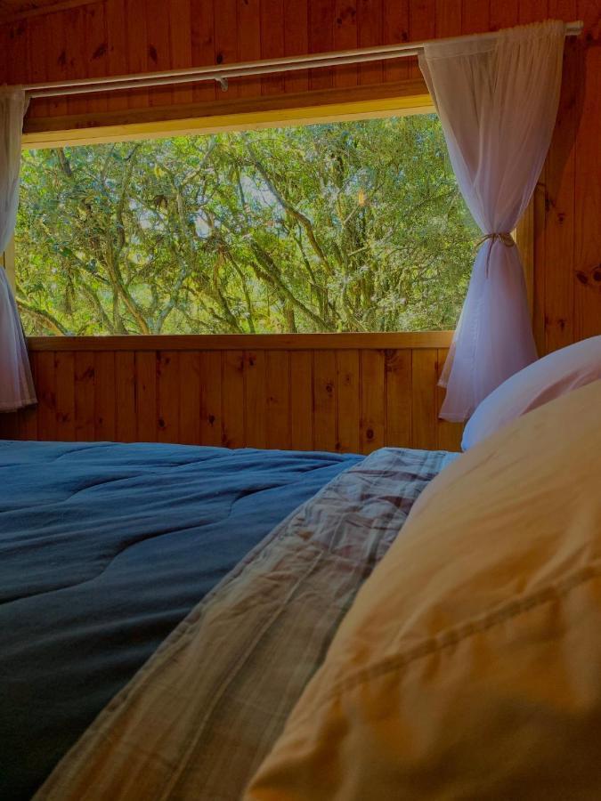 Vila Cabana Vivenda São Francisco de Paula Exteriér fotografie